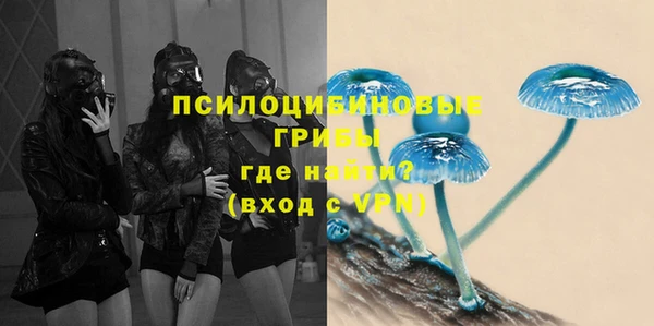 mdpv Белокуриха