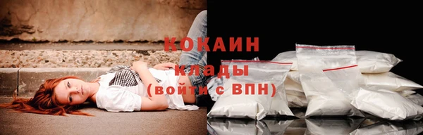 ECSTASY Пересвет
