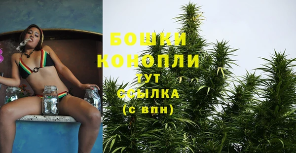 дурь Белоозёрский