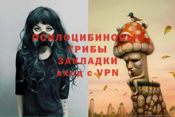 mdpv Белокуриха