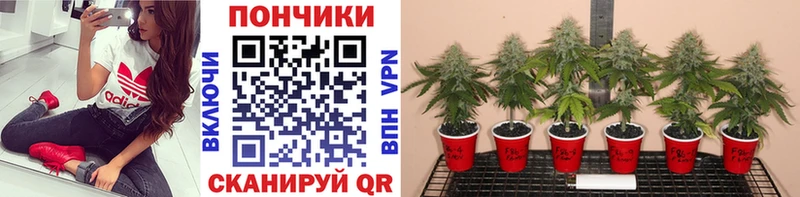 где можно купить наркотик  Урюпинск  Каннабис марихуана 